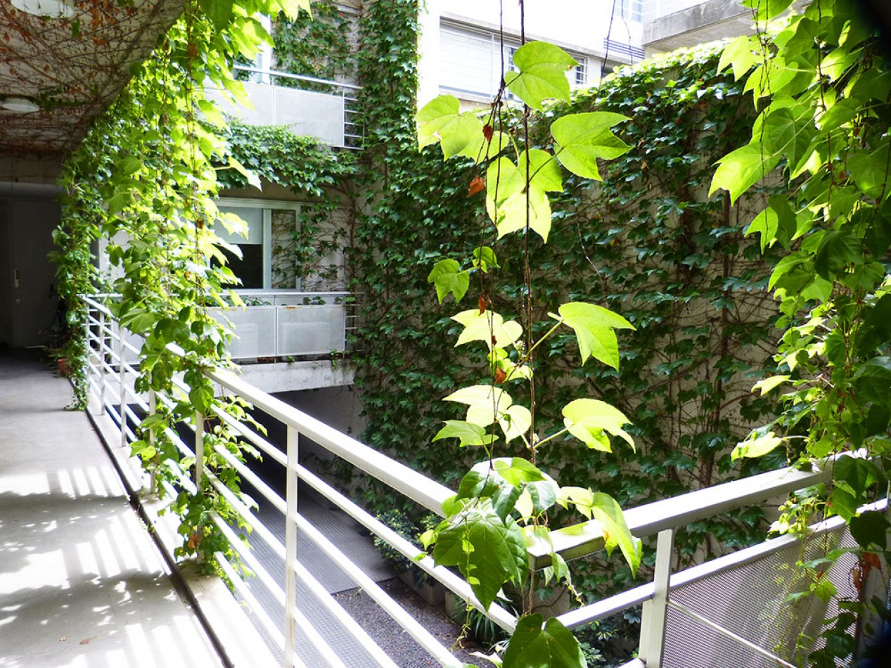Amenabar - Precioso dos ambientes con amplio balcon terraza vista verde - Disponible 4 de Abril-