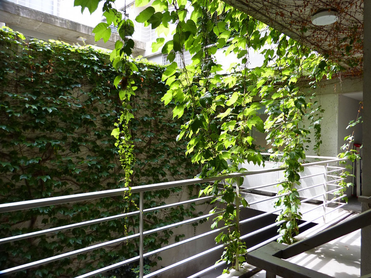 Amenabar - Precioso dos ambientes con amplio balcon terraza vista verde - Disponible 4 de Abril-