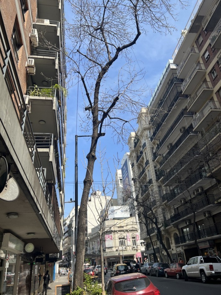 AGUERO Y AV SANTA FE - Amplios ambientes -  terraza privada. RECOLETA --